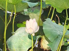 -锦溪古镇