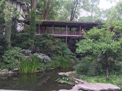 -南山植物园