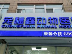 -宠福鑫康馨动物医院·骨科·眼科