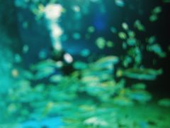 -北戴河圣蓝海洋公园