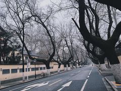 -颐和路民国时期公馆风貌区