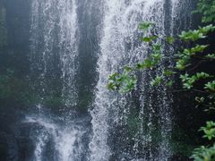 -瓦屋山景区