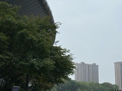 -杭州城北体育公园