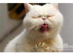 -麦斯汀烘焙坊(建昌兴隆店)