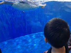 -华夏文旅海洋公园