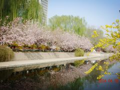 -元大都城垣遗址公园