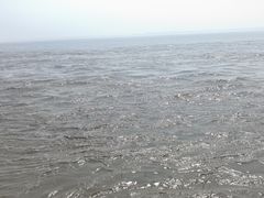 -贾老板缸肉馆(潮韵街店)