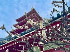 -浅草寺