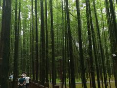 -山王坪喀斯特国家生态公园
