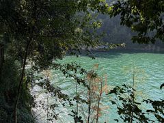 -广州市流溪河国家森林公园