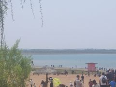 -红碱淖景区