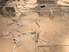 -洛阳周王城天子驾六博物馆