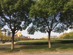 -东华大学(松江校区)