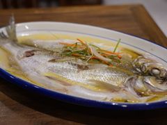 清蒸鲜白鱼-锡和无锡菜(景丽苑店)