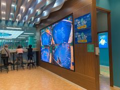 -Swim斯卫姆国际儿童游泳中心(红博中央公园店)