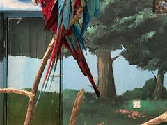-沈阳森林动物园