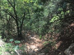 -龙洞风景区-藏龙涧