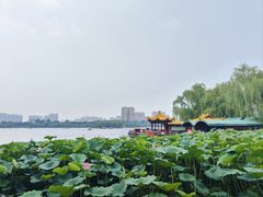 -济南大明湖景区