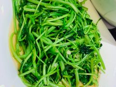 糖酒炒芥兰苗-王庄阿咪海鲜大排档(象园店)
