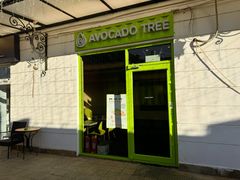 -油梨树AVOCADO TREE(顺义新国展店)