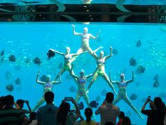 -瑞德姆美人鱼海底演艺主题餐厅(亚龙湾店)
