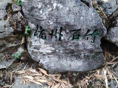 -杭州植物园