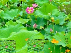 -李东农庄(中南百草园地标店)