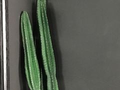 -UNI UNI(环亚凯瑟琳店)