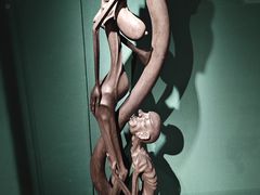 -阿姆斯特丹性博物馆