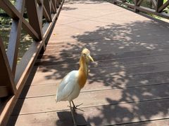-吉隆坡雀鸟公园