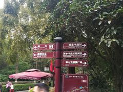 -邓小平故里
