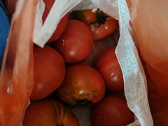 -乐乐鲜果水果超市(河北店)