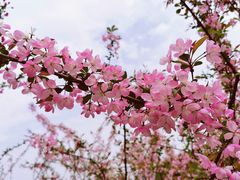 -白塘生态植物园