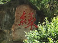 -杭州黄龙洞