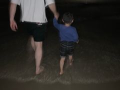 -红树林天天赶海