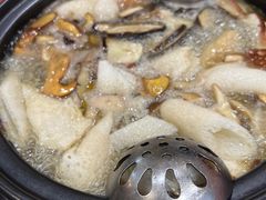 -菌之家·专业纯野生菌火锅·特色炒菌