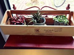 -RUMORS COFFEE ROASTERY鲁马滋咖啡(湖南路店)