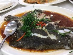 清蒸多宝鱼-湛江渔港·大排档(乐园路总店)