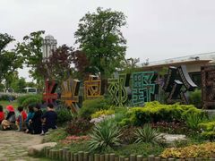 -上海长兴岛郊野公园