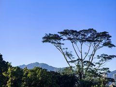 -飞来湖湿地公园