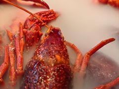 -红盔甲·小龙虾(车公庙店)