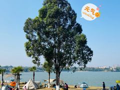 -仙湖旅游度假区