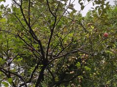 -川香煲(茅台路店)