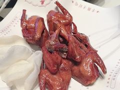 -鸽子侯·家宴·平价海鲜(绿地店)