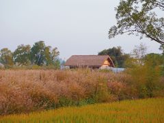 -良渚古城遗址公园