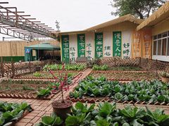 -苏记溪河鲢鱼庄(天府新区店)