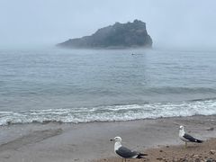 -棒棰岛宾馆景区