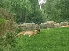 -北京野生动物园