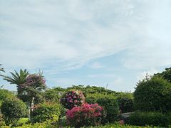-金鸡岭桥头公园