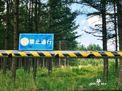 -塞罕坝国家级自然保护区